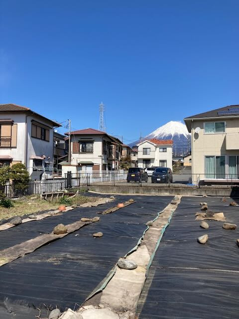 外観：322000578289