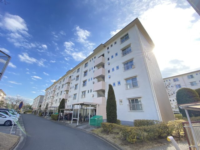 外観：312001196549