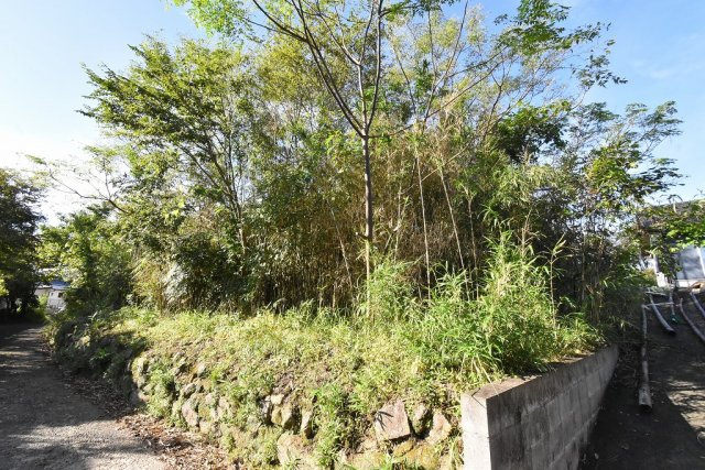 外観：346000039890