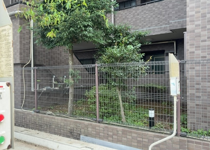 中庭（パティオ）とは、一つの建築物の内部に設けられた、壁などで囲われている庭のことを指します。コの字型、ロの字型が主流ですが、L字型の中庭もあります。最近では、インテリア性の高さからも人気があります。