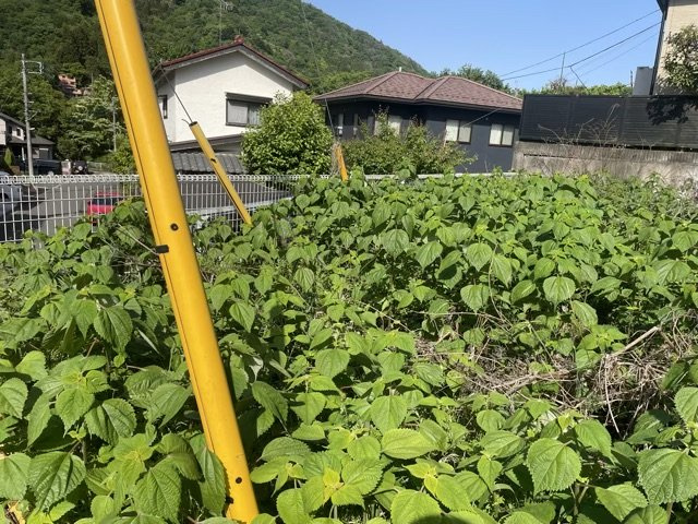 物件の詳細については、現地を見てわかること以外に、役所や法務局などで調べないとわからないことがあります。そのため、現地に行く場合は、もしこの物件を買ったらどのような生活ができるかをイメージしましょう。