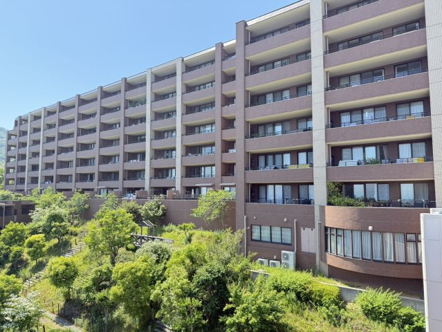 外観：328000646645
