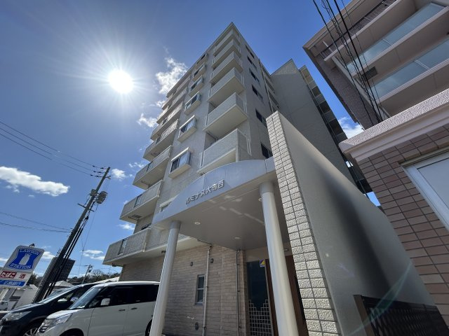 外観：334000235549