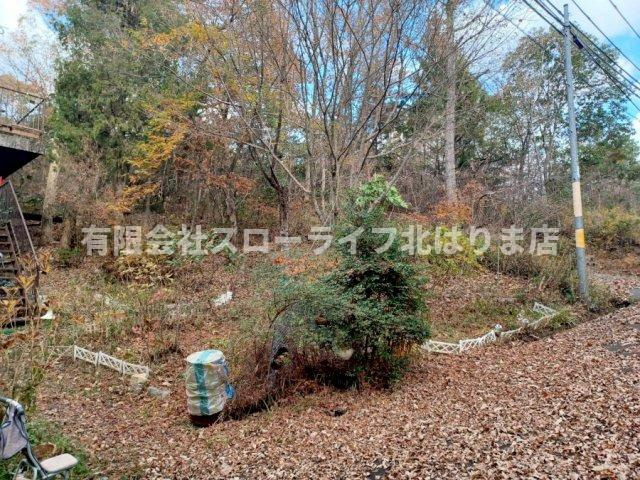 遠目から