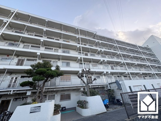 外観：328000617317