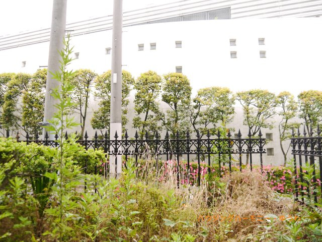 展望