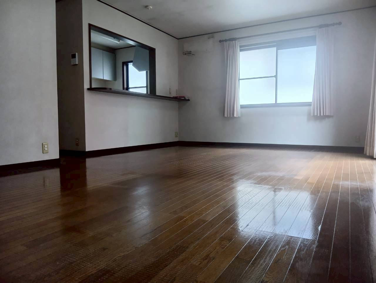 令和8年3月6日撮影