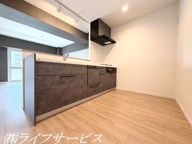 オープンスタイルのシステムキッチン／ビルトイン食器洗浄乾燥機、浄水器付！