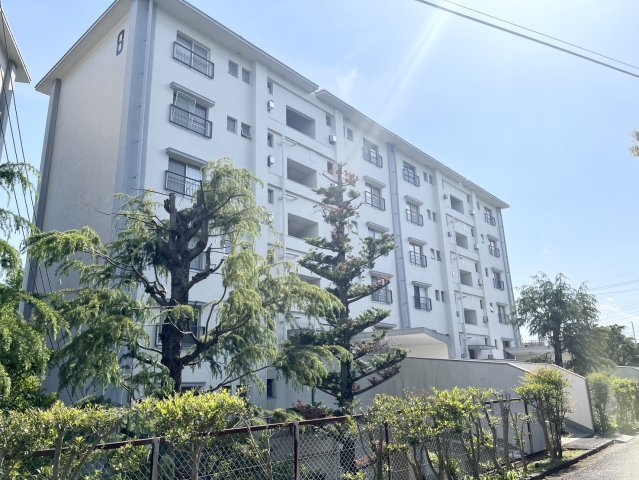 外観：314002762095