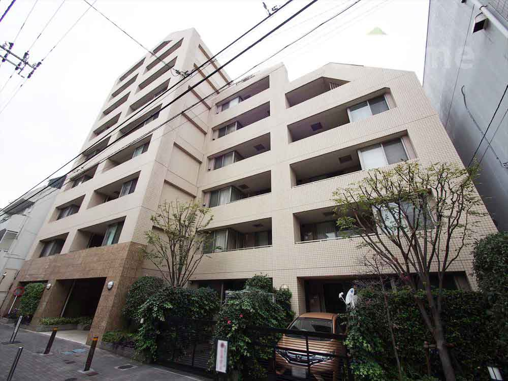 外観：313004694597