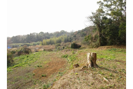 福岡市西区能古 売地の外観