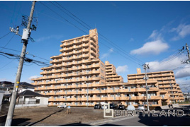 中古マンション　ネオハイツ並木　大島小・第五中の外観