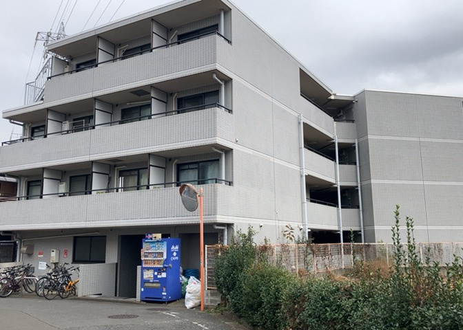 外観：313004569436