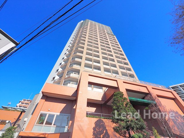 外観：313004684528