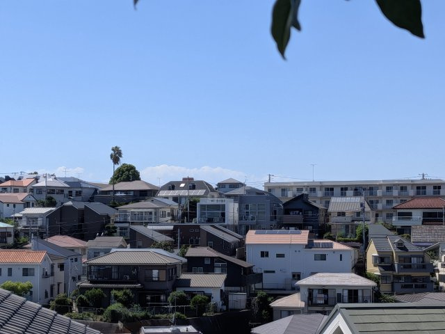 展望