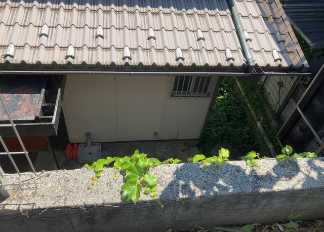 庭のある家に住むことのメリットとして、子どもたちの遊び場を確保できること、ガーデニングや家庭菜園を楽しめること、明るさを確保できることがあります。また、配置を工夫することでプライバシーが確保できます。