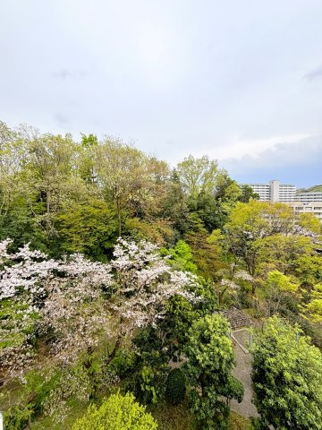 【グリーンメゾン南大沢　リビングを中心にした団らん設計 の展望】