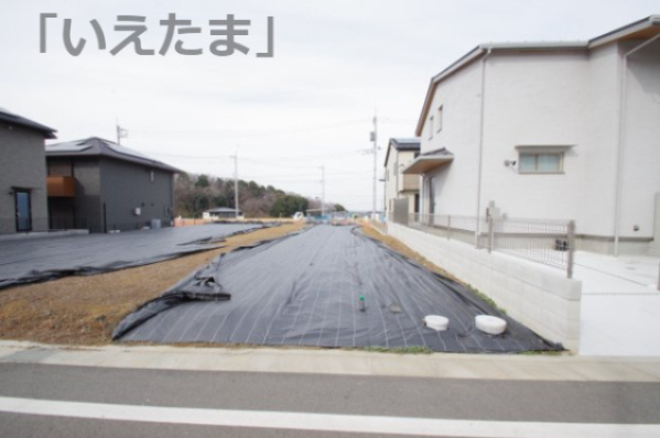 外観：313004621020