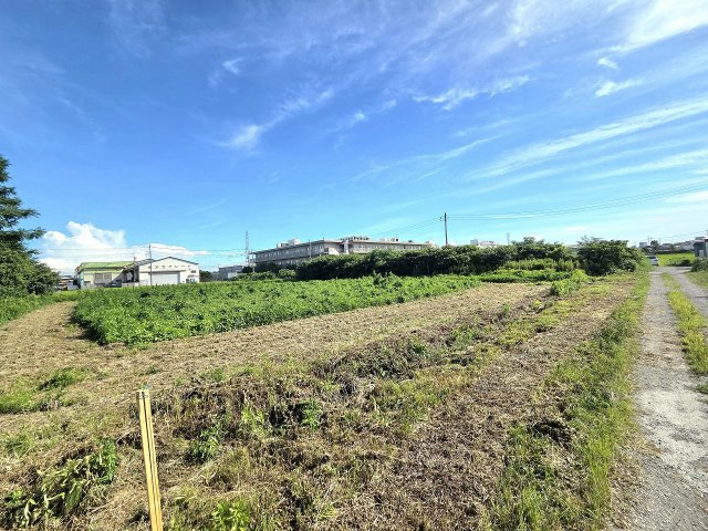 令和8年8月撮影