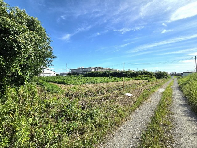 令和8年8月撮影