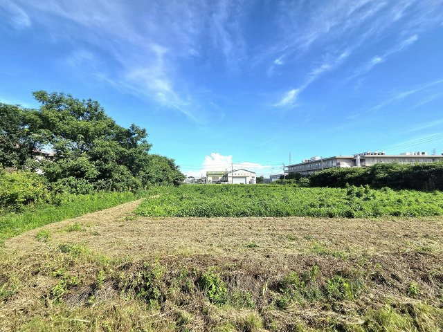 令和8年8月撮影