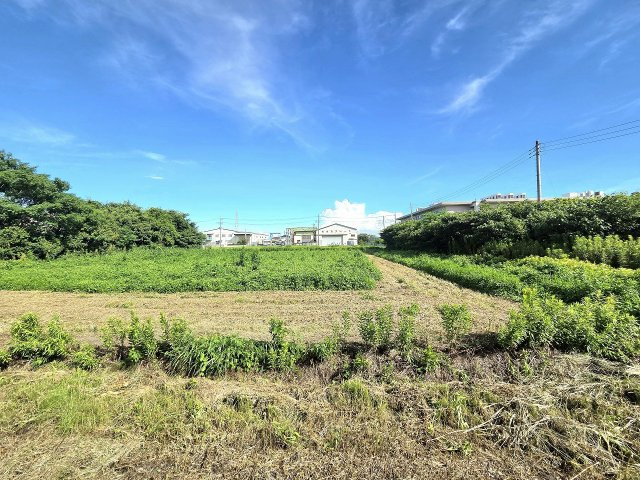 令和8年8月撮影