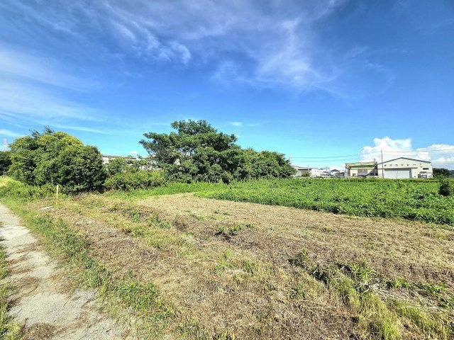 令和8年8月撮影