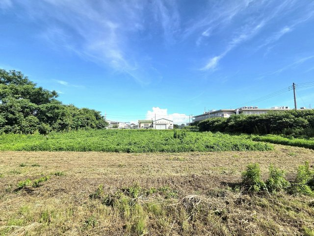 令和8年8月撮影