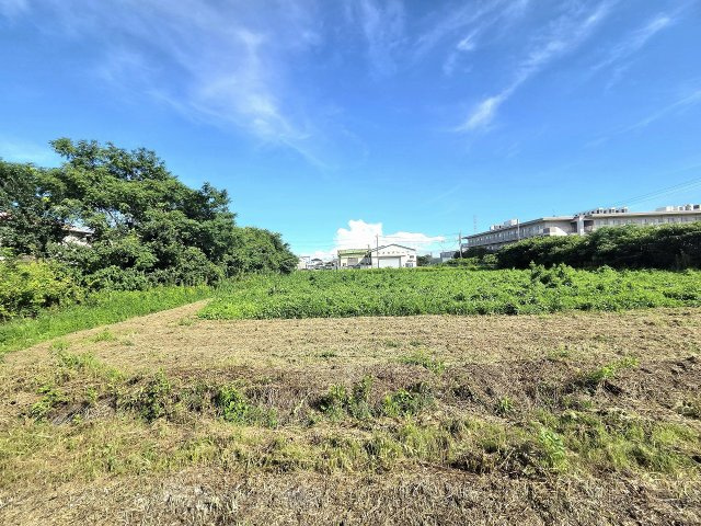 令和8年8月撮影
