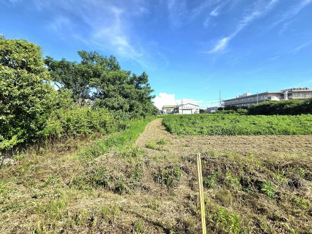 令和8年8月撮影
