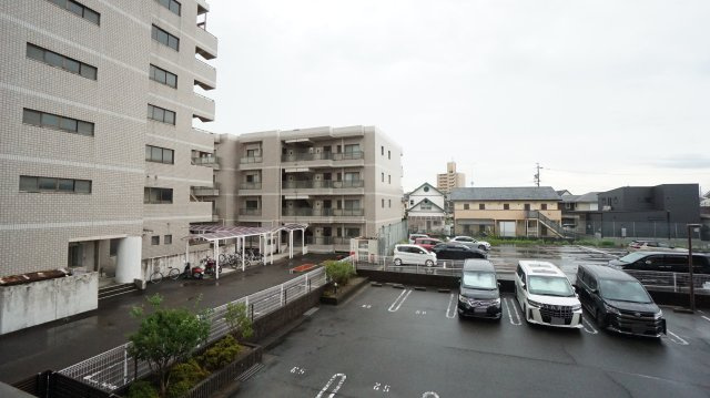 展望