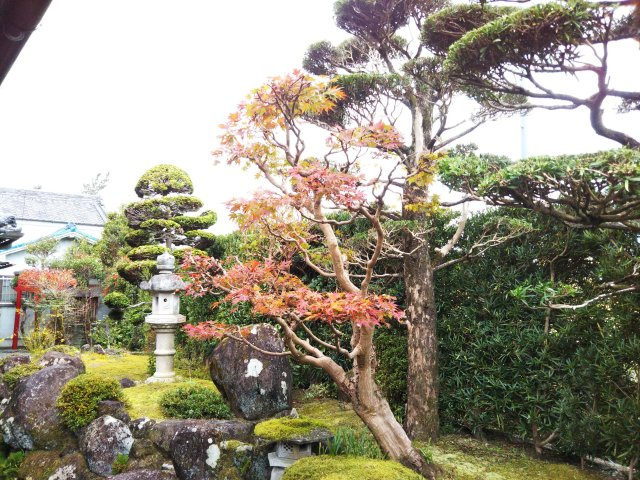 庭