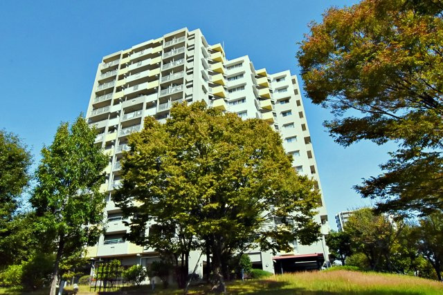 外観：313004293002