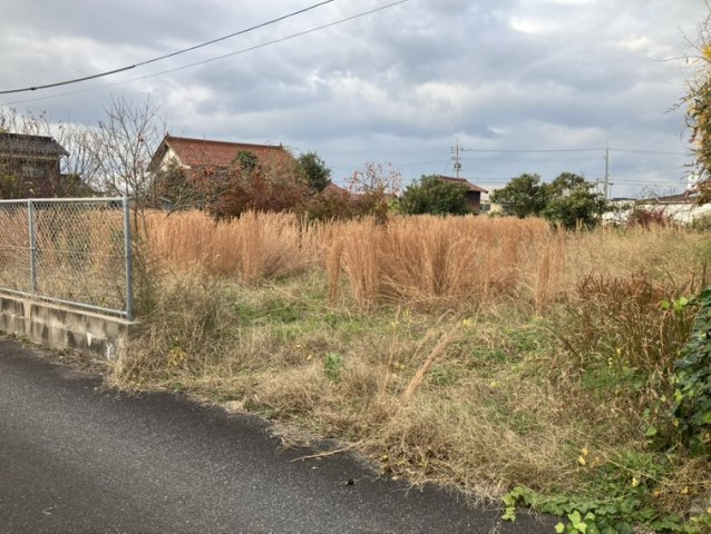 外観：331000013920