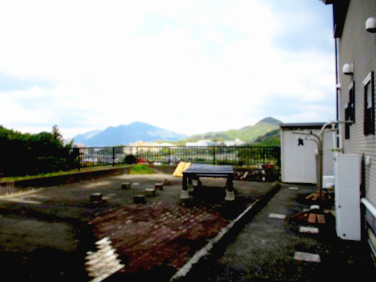 庭