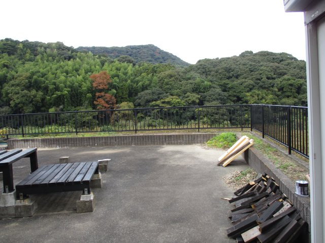 庭