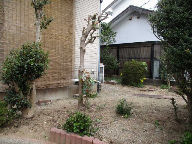 庭