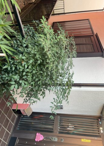 土地の前の道路に消火栓が設置されていることがあります。この場合、道路交通法第45条第1項により、駐車禁止の場所が指定されています。そのため、車庫などの駐車スペースをつくることができない場合があります。