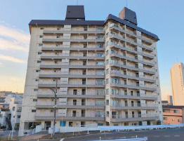 外観：313004611653