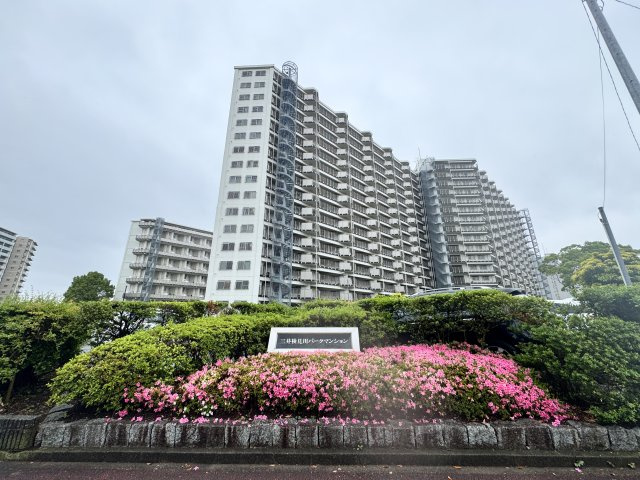 外観：312001301424