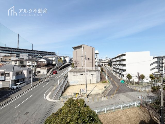2026年3月5日撮影