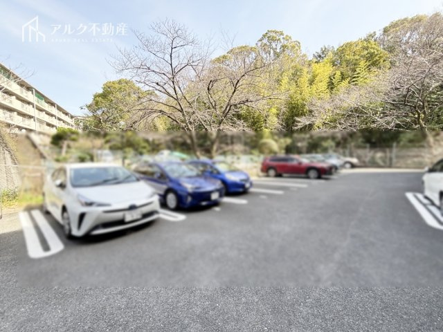 2026年3月5日撮影