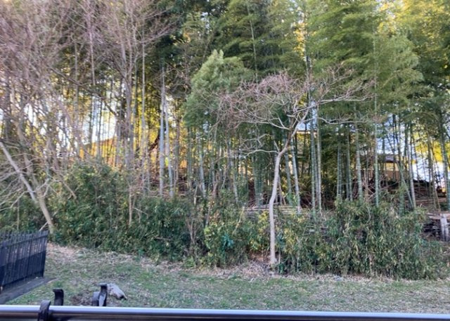 眺望を気にして物件を探す場合、前面に建物が建っていないか現地で確認しましょう！前面に建物があると景色はもちろん、日当たりや風通しにも影響が出てきます。住んだ時のことを想像しながら現地見学をしましょう。