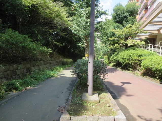 敷地内を網羅する遊歩道は歩行と自転車に分かれています
