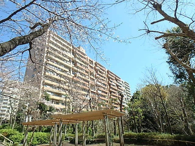 遊歩道に接する小さな公園から桜と