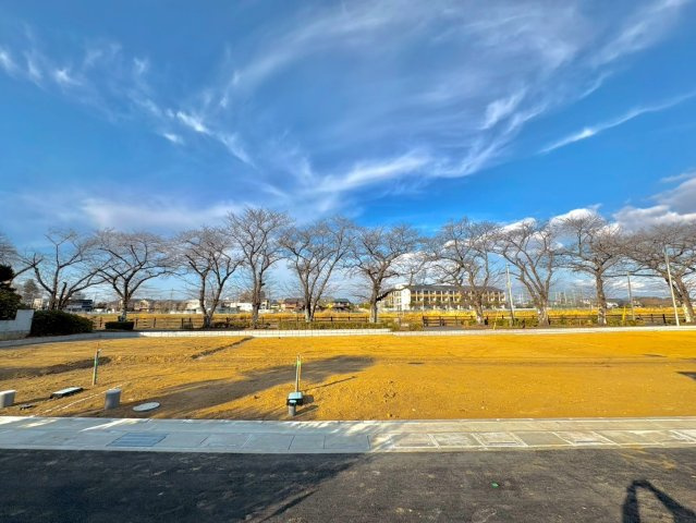 外観：311002343317