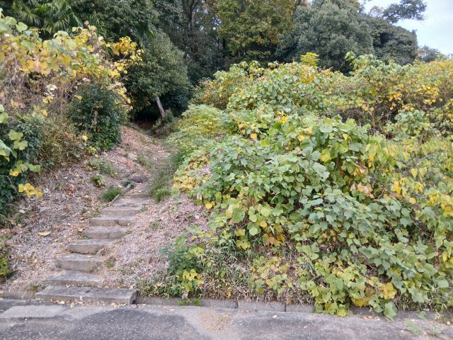 外観：311002312213