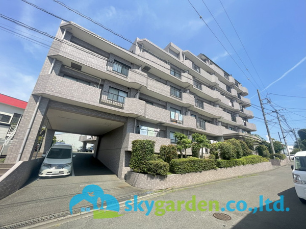 シーダム藤沢善行の画像