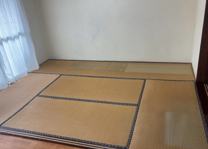 洋室のメリットは重い家具が置きやすく、身の回りが整理しやすいことです。　床がフローリングのため畳とは異なり凹みにくいです。　クローゼットなど収納が豊富で、普段使わない旅行カバンや服の整頓も簡単にです。
