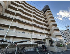 外観：313004605999